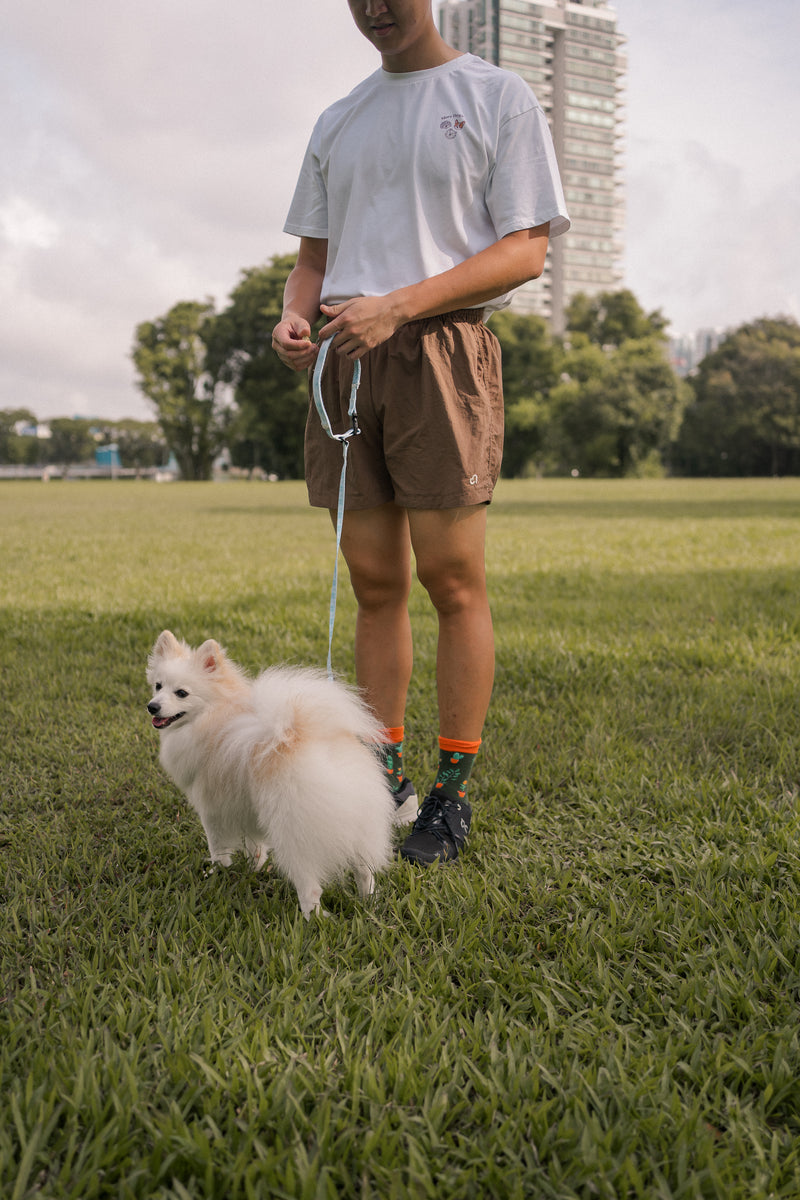 Walk Shorts - male cutting